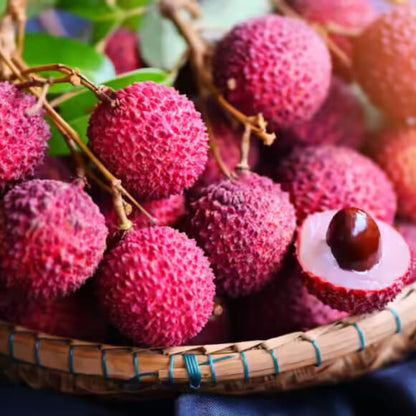 Pinkish-Red Lychee Seeds