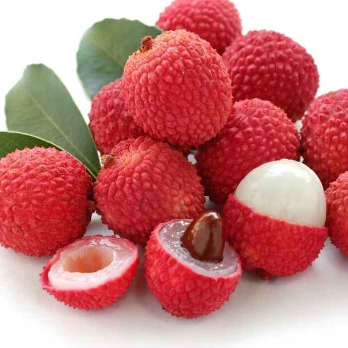 Pinkish-Red Lychee Seeds