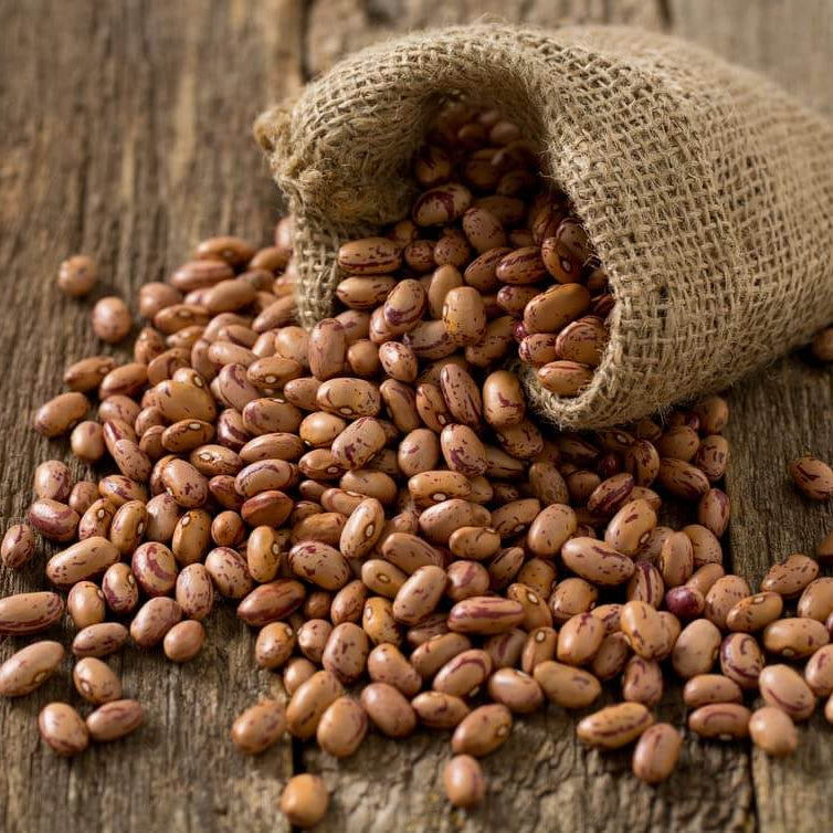 Pinto Bean Seeds - Vegetable Plant