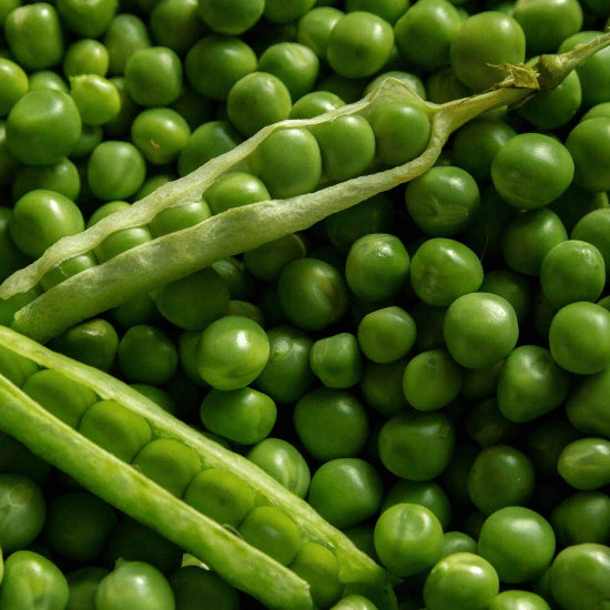 Pisum Sativum Seeds