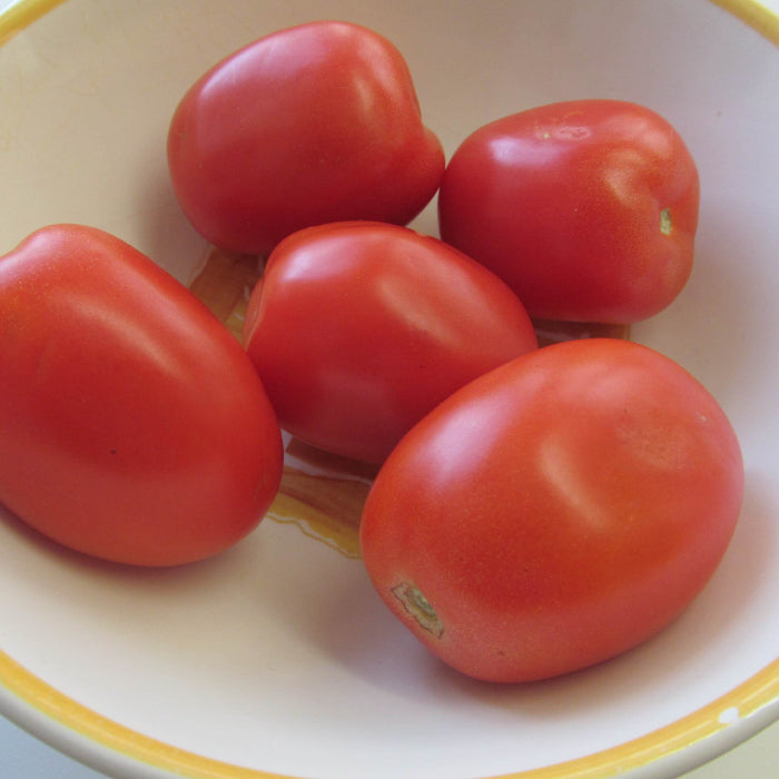 Plum Regal Tomato Seeds- Vegetable Plant