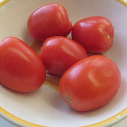 Plum Regal Tomato Seeds- Vegetable Plant