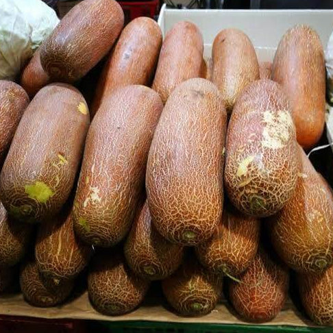 Poona Kheera Cucumber Seeds