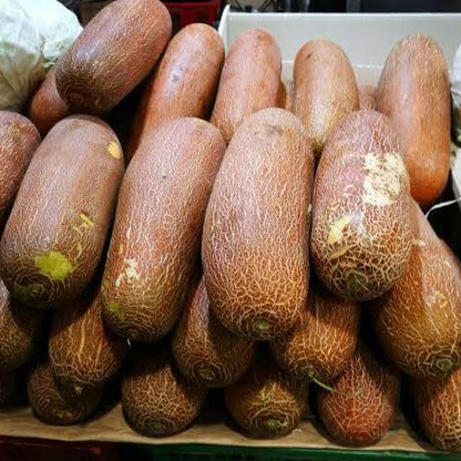Poona Kheera Cucumber Seeds