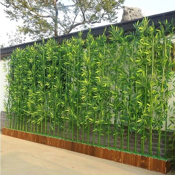 Privacy Bamboo Seeds - Flower Plant