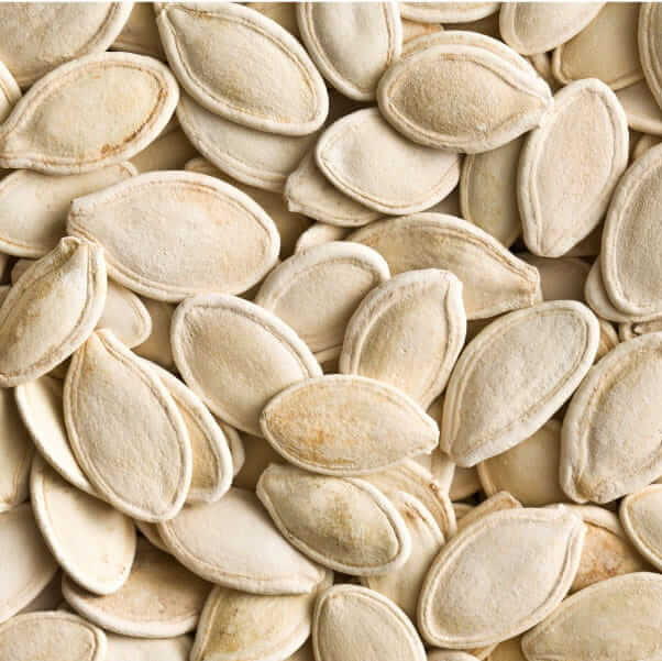 Pumpkin Seeds