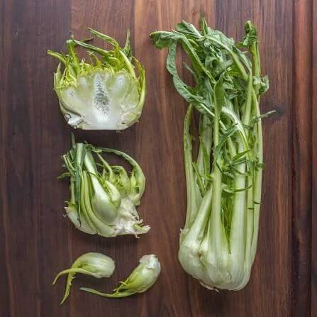 Puntarelle Seeds