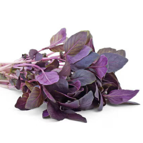 Purple Basil Seeds - Herbal Plant