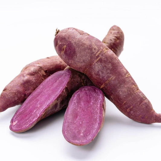 Purple Batatas Potato Seeds