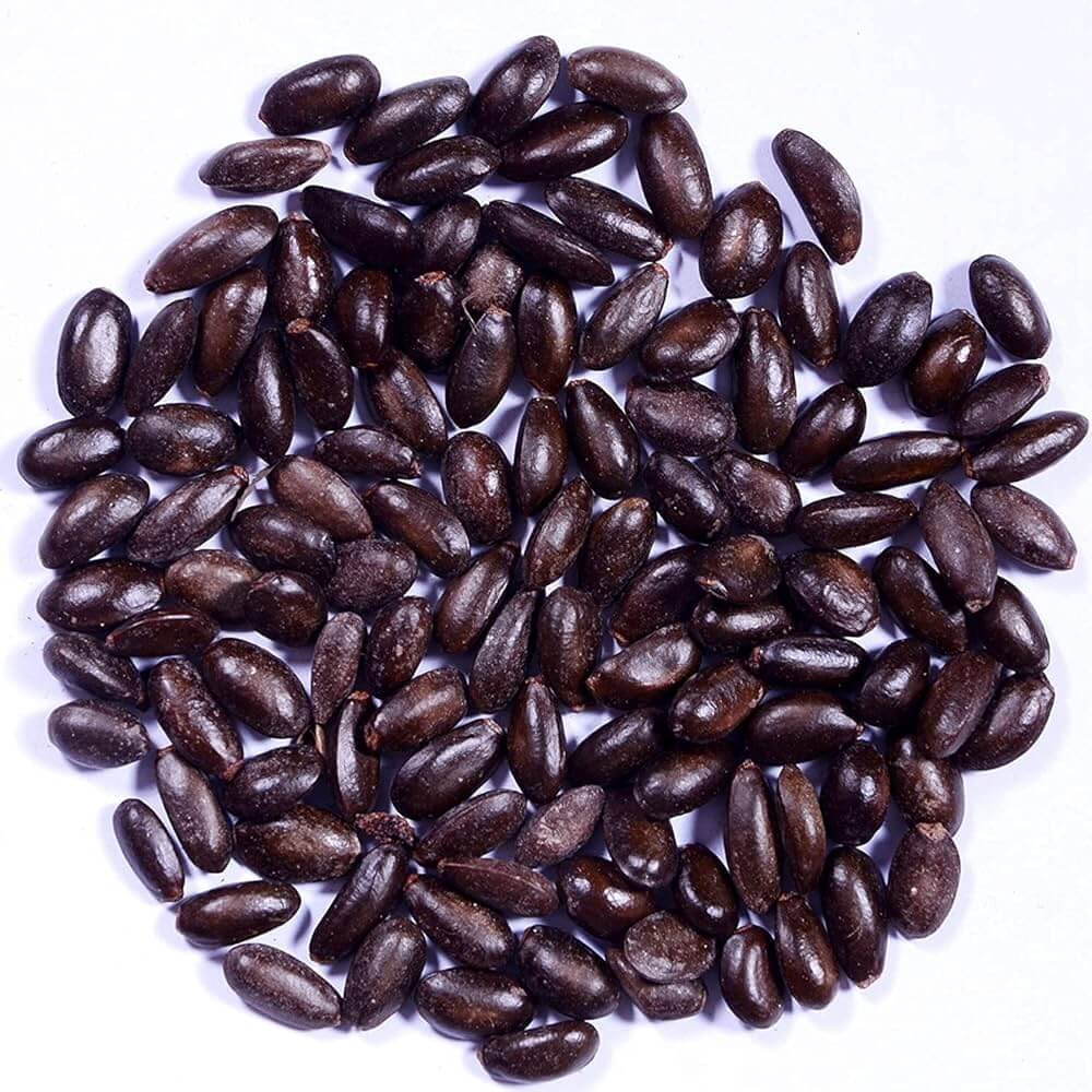 Purple Cherimoya Seeds