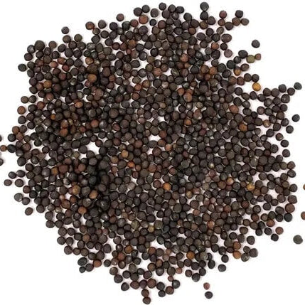 Purple Choi Bok Choy Seeds 