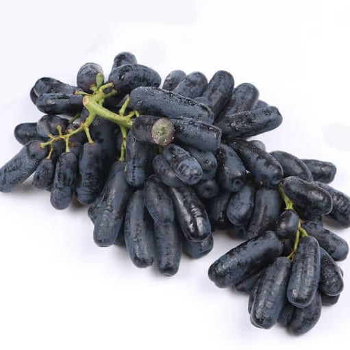 Purple Finger Grape Seeds