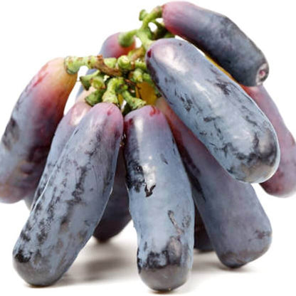 Purple Finger Grape Seeds
