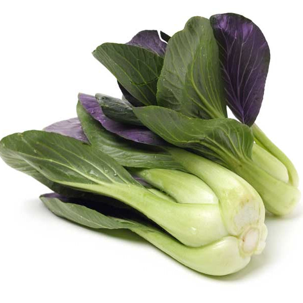 Purple Green Choi Bok Choy Seeds