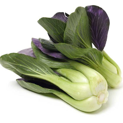 Purple Green Choi Bok Choy Seeds