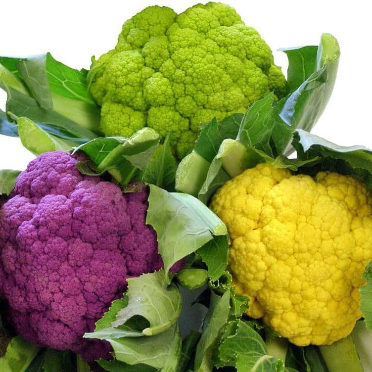 Purple, Green & Yellow Mix Cauliflower Seeds