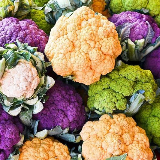 Purple, Green & Yellow Mix Cauliflower Seeds