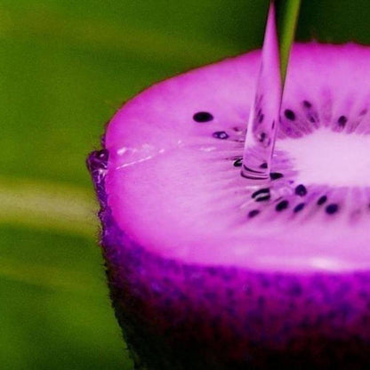 Purple Kiwi Seeds