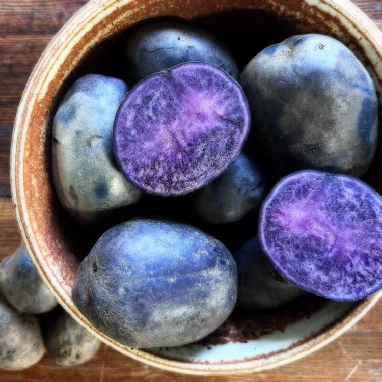 Purple Majesty Potato Seeds - Vegetable Plant