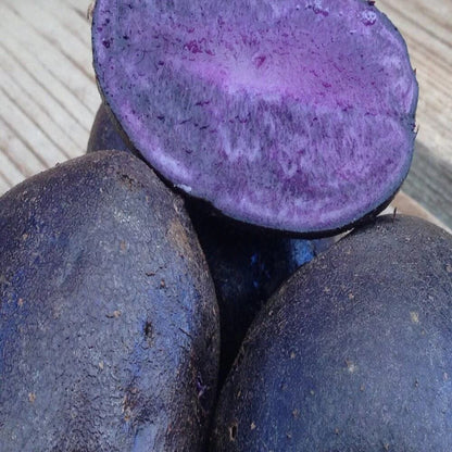 Purple Majesty Potato Seeds - Vegetable Plant