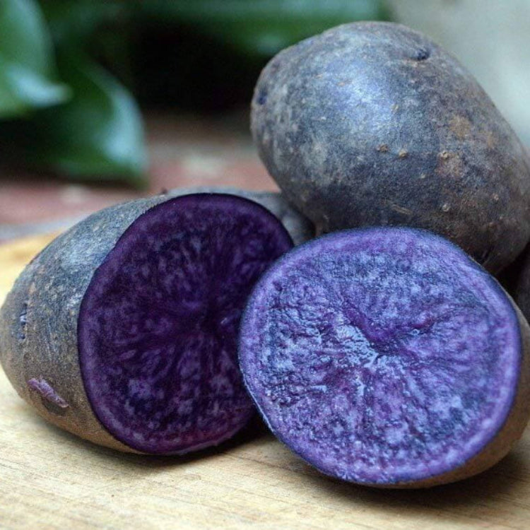 Purple Majesty Potato Seeds - Vegetable Plant