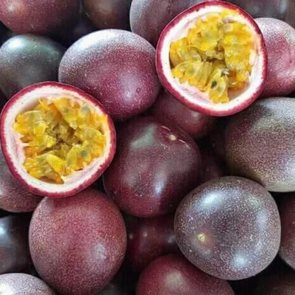 Purple Passion Fruit Seeds 