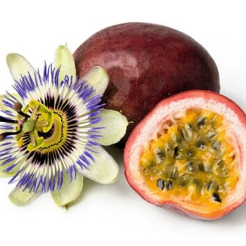 Purple Passion Seeds
