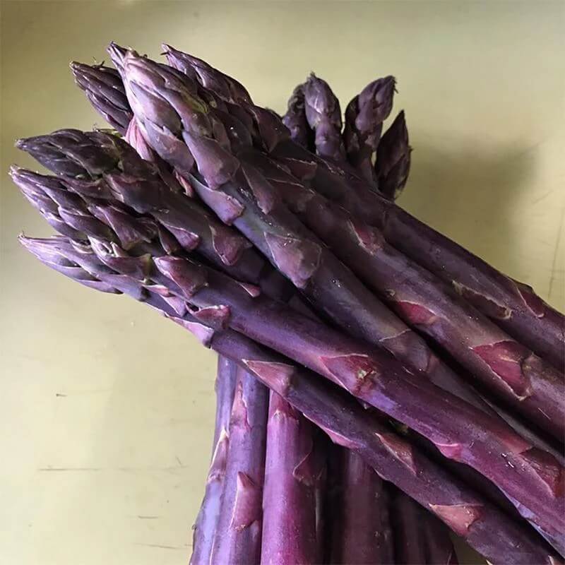 Purple Passion asparagus seeds - Vegetable Plant