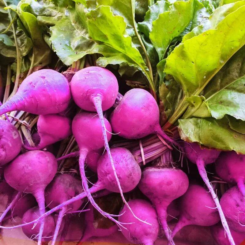 Purple Plum Radish Seeds