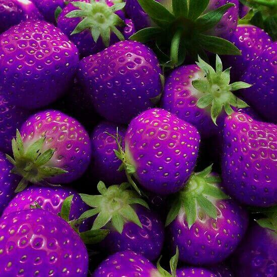 Purple Strawberry Seeds 