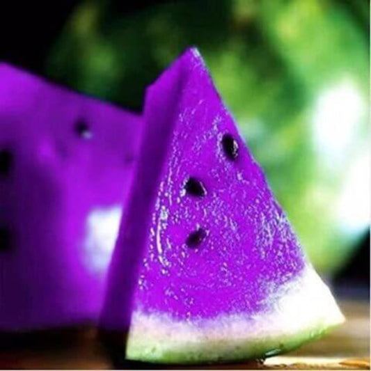 Purple Watermelon Seeds - Heirloom Fruit Plant for Home Gardens