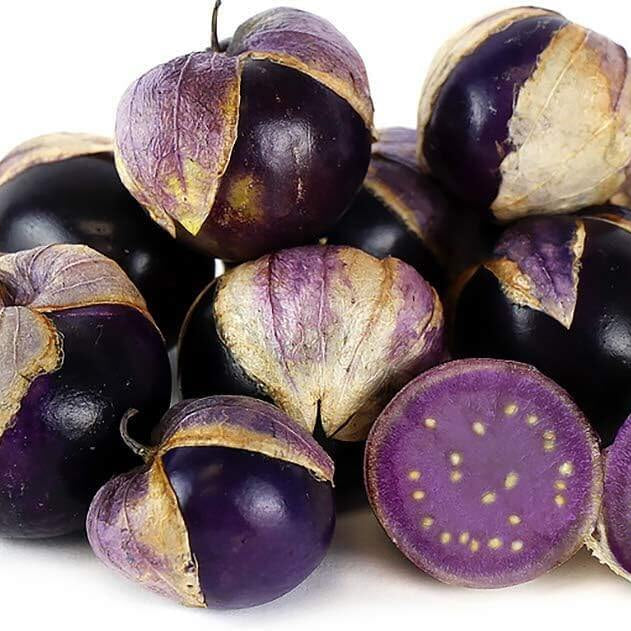 Purple tomatillo seeds - Vegetable Plant