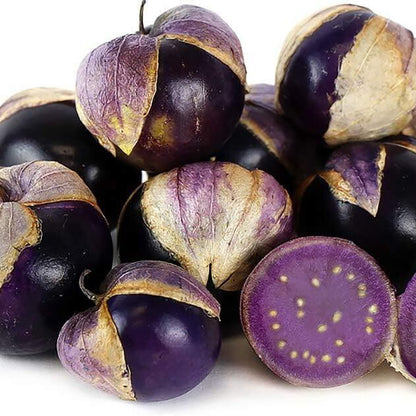 Purple tomatillo seeds - Vegetable Plant