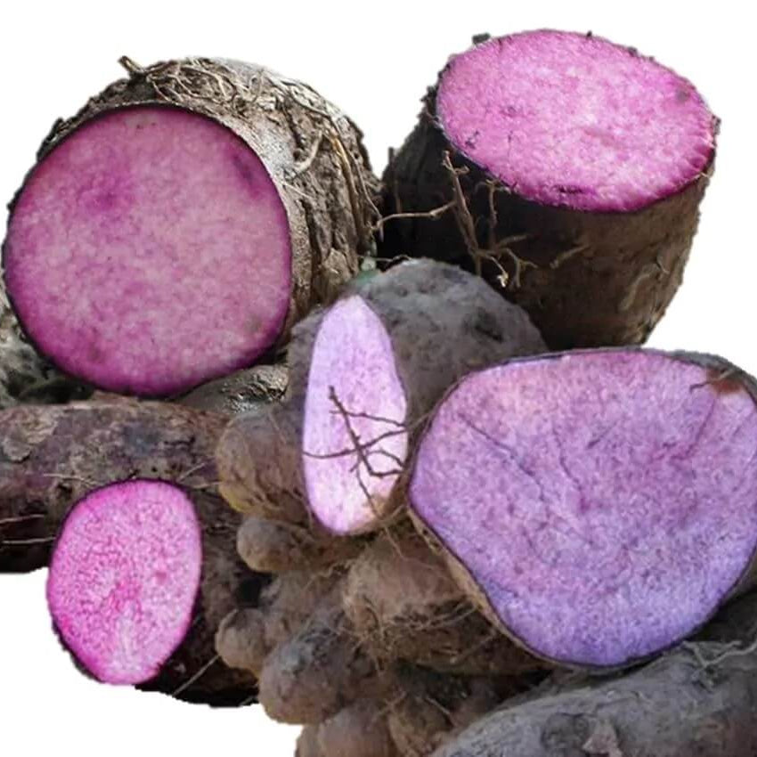 Purple yam seeds - Vegetable Plant