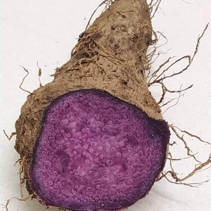 Purple yam seeds - Vegetable Plant