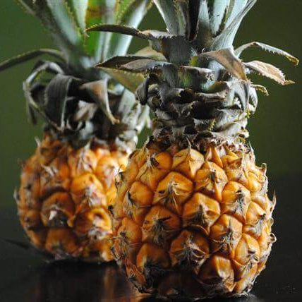 Queen Victoria Pineapple Seeds