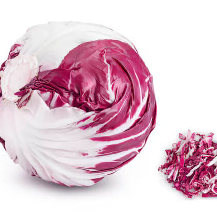 Radicchio Seeds - Vegetable Plant for Home Gardens