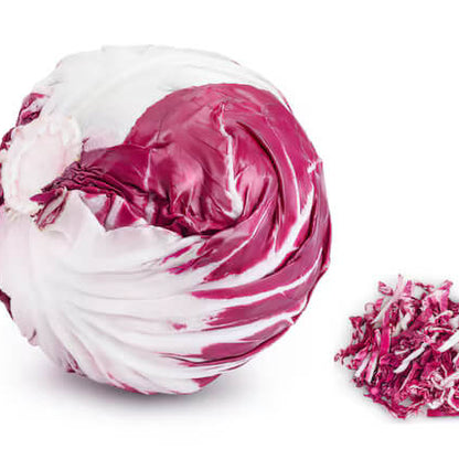 Radicchio Seeds - Vegetable Plant for Home Gardens