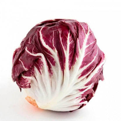 Radicchio Seeds - Vegetable Plant for Home Gardens