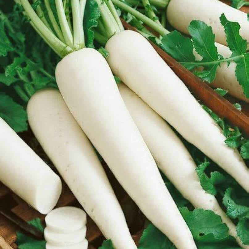 Radish seeds - Vegetable Plant