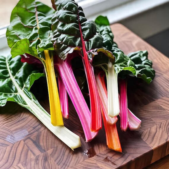 Rainbow swiss chard seeds - Vegetable Plant