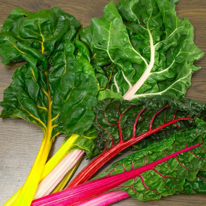 Rainbow swiss chard seeds - Vegetable Plant