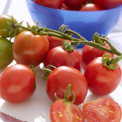 Rapunzel Tomato Seeds