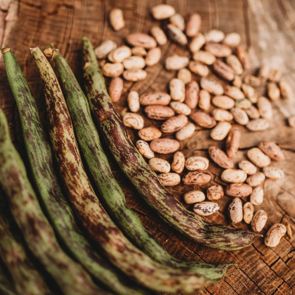 Rattlesnake Bean Seeds - Vegetable Plant