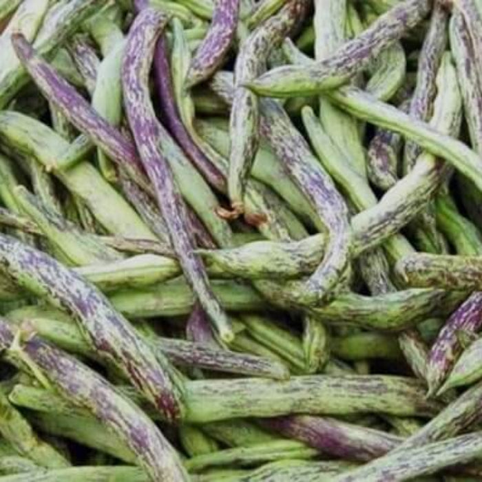 Rattlesnake Bean Seeds - Vegetable Plant