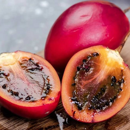 Red-Fleshed Tamarillo Seeds - Fruit Plant for Home Gardens 