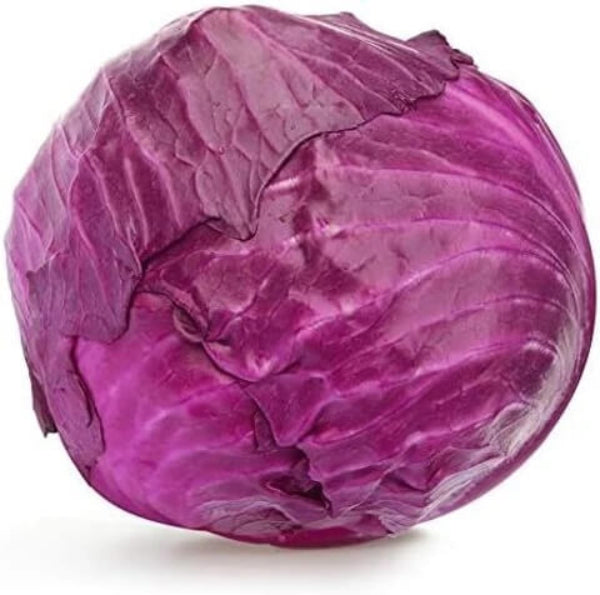Red Acre cabbage seeds - Vegetable Plant