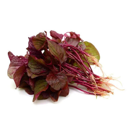  Red Amaranth Seeds 