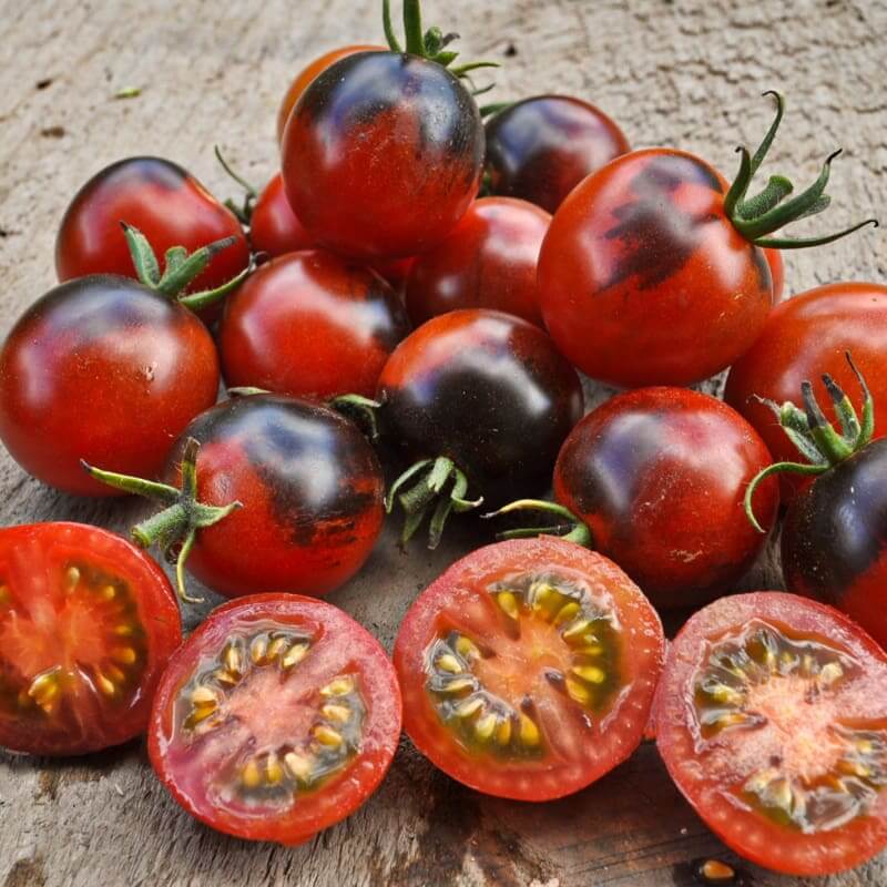 Red Black Midnight Tomato Seeds 
