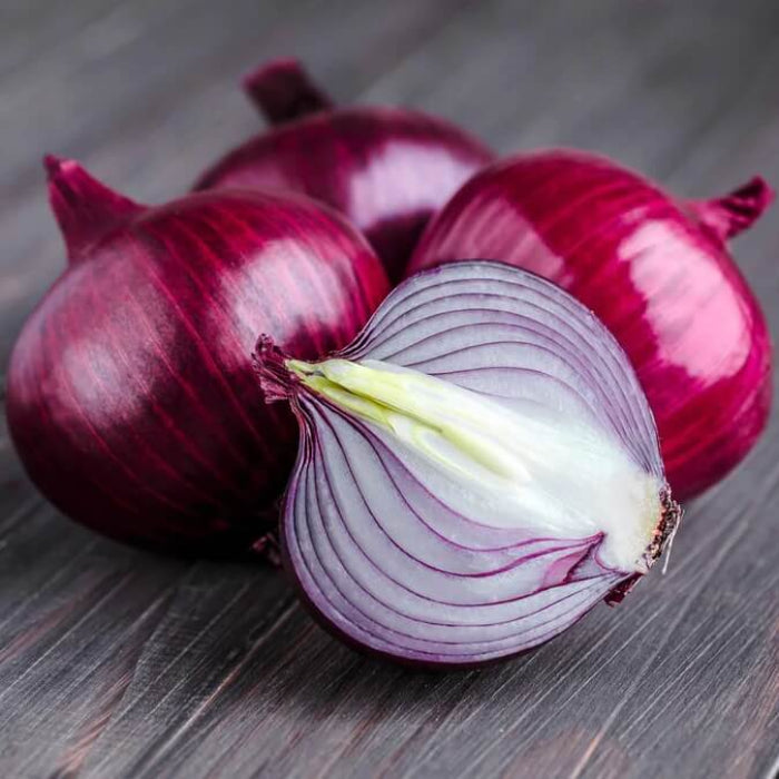 Red Burgundy onion seeds - Vegetable Plant